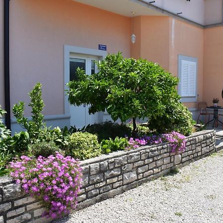 Apartman Fachin Мотовун Экстерьер фото